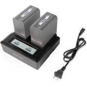 Shape Np-f Dual-bay Charger With Lcd