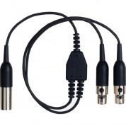 Shure Lemo Y-cable For Axt100 Bodypack Transmitters