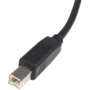 Startech Usb-a To Usb-b 2.0 Male Cable (10')