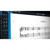 Steinberg Dorico Pro 3.5 Music Notation Software (crossgrade Educational 5+ Multi-seat, Download)