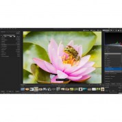 Acdsee Photo Studio Ultimate 2021 For Windows