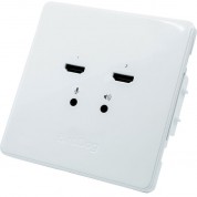 Birddog Wallplate Dual Input