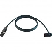 Cable Techniques Straight Xlr Female To Low-profile Right-angle Xlr Male Premium Quad Cable (black Cap, 10')