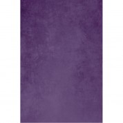 Easiframe Cyclorama Fabric Curved Frame Skin / Chroma Key (wisteria)