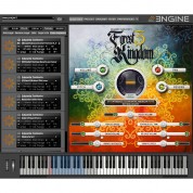 Best Service Forest Kingdom 3 Virtual Instrument (download)