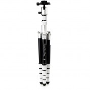 Benro Mefoto Roadtrip Pro Aluminum Series 1 Travel Tripod With Ball Head And Monopod (silver)