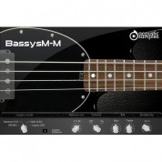 Acousticsamples Bassysm-m Stingray Bass Virtual Instrument Software (download)