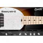 Acousticsamples Bassysm-s Stingray Bass Virtual Instrument Software (download)