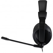 Adesso Xtream Usb Multimedia Stereo Headset With Mic