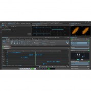 Steinberg Wavelab Elements 11 Audio Editing And Processing Software (educational Edition, Download)