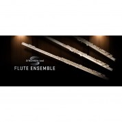 Vienna Symphonic Library Synchron-ized Flute Ensemble Virtual Instrument (download)