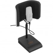 Auray Rfdt-128 Desktop Reflection Filter And Mic Stand