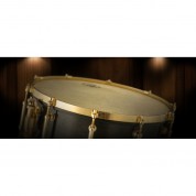 Vienna Symphonic Library Synchron Percussion Bundle Full Library Upgrade Virtual Instrument (download)