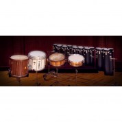 Vienna Symphonic Library Synchron Percussion Iii Full Library Upgrade Virtual Instrument (download)