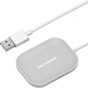 Galvanox Qi Wireless Charging Pad For Apple Airpods Pro (gray)