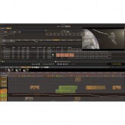 Audio Design Desk Pro Perpetual Digital Audio Workstation (download)