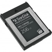 Sandisk 256gb Pro-cinema Cfexpress Type B Memory Card