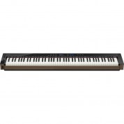 Casio Privia Px-s6000 88-key Portable Digital Piano (black)