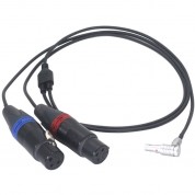 Digitalfoto Solution Limited 3-pin Xlr Female To 5-pin 2-channel Audio Cable For Arri Alexa Mini (1.6')