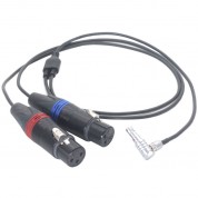 Digitalfoto Solution Limited 3-pin Xlr Female To 5-pin 2-channel Audio Cable For Arri Alexa Mini (1.6')