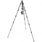 3 Legged Thing Punks Brian 2.0 Carbon Fiber Tripod With Airhed Neo 2.0 Ball Head (matte Black)