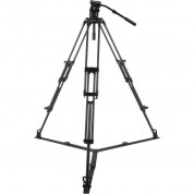 Sirui Bct-2203 Carbon Fiber Tripod & Bch-10 Video Head Bundle