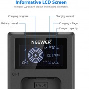 Neewer Dual Usb Charger With Lcd & 2 Np-fw50 1100mah Batteries