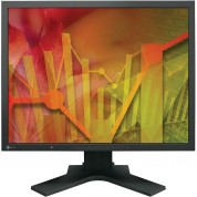 Eizo Flexscan S2133 21.3