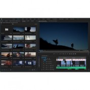 Adobe Premiere Pro Cc (1-year Subscription, Download)