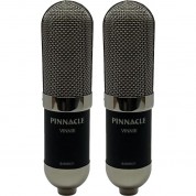 Pinnacle Microphones Vin-jet Long-ribbon Microphone With Lundahl Transformer (stereo Pair)