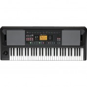 Korg Ek-50 Csa Portable 61-key Arranger Keyboard With Latin Styles