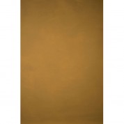 Gravitybackdrops Hand Painted Classic Collection Low Texture Backdrop (ochre, 5.2 X 8.9')