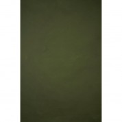 Gravitybackdrops Hand Painted Classic Collection Strong Texture Backdrop (green, 8.9 X 16.4')