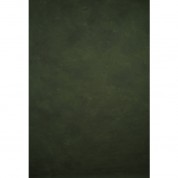 Gravitybackdrops Hand Painted Classic Collection Mid Texture Backdrop (green, 8.9 X 13')