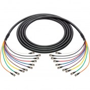 Laird Digital Cinema Bnc-10snk 3g/hd-sdi 10-channel Thin-profile Snake Cable (10')