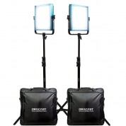 Dracast Pro Series Led1000 Daylight Led Light Panel (v-mount, Interview 2-light Kit)