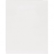 Lineco Conservation Mat Board (white, 16 X 20