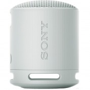 Sony Xb100 Portable Bluetooth Speaker (gray)