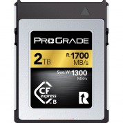 Prograde Digital 2tb Cfexpress 2.0 Type B Gold Memory Card