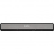 Korg Paas Mk2 Speaker Amplification System For Pa5x Keyboard