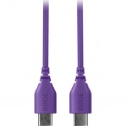 Rode Sc22 Usb-c To Usb-c Cable (purple, 11.8