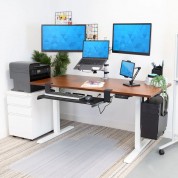 Mount-it! Electric Sit-stand Desk With 55