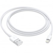 Apple Lightning To Usb-a Male Cable (3.3' / 1 M)