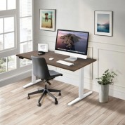 Mount-it! Dual Motor Electric Standing Desk With 55