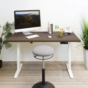 Mount-it! Dual Motor Electric Standing Desk With 55