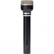 Warm Audio Wa-19 Dynamic Microphone (black)