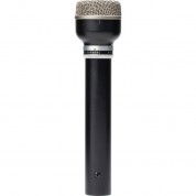 Warm Audio Wa-19 Dynamic Microphone (black)