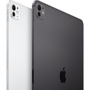 Apple 13