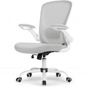 Eureka Onyx Series Ergonomic Office Chair (gray)