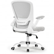 Eureka Onyx Series Ergonomic Office Chair (gray)